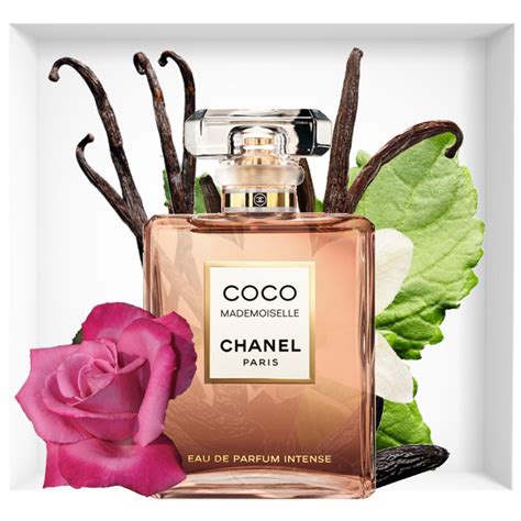 chanel coco mademoiselle intense notes|chanel mademoiselle intense price.